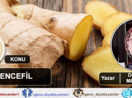 Diyetisyen Merve IŞIK - Zencefil