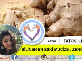 FATOŞ İLHAN BİLİNEN EN ESKİ MUCİZE ZENCEFİL